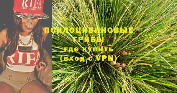 spice Надым