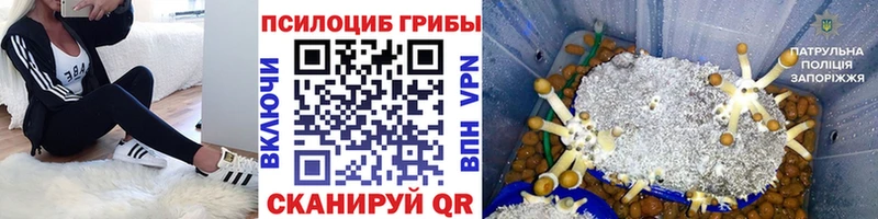 Псилоцибиновые грибы ЛСД  блэк спрут ТОР  Опочка 